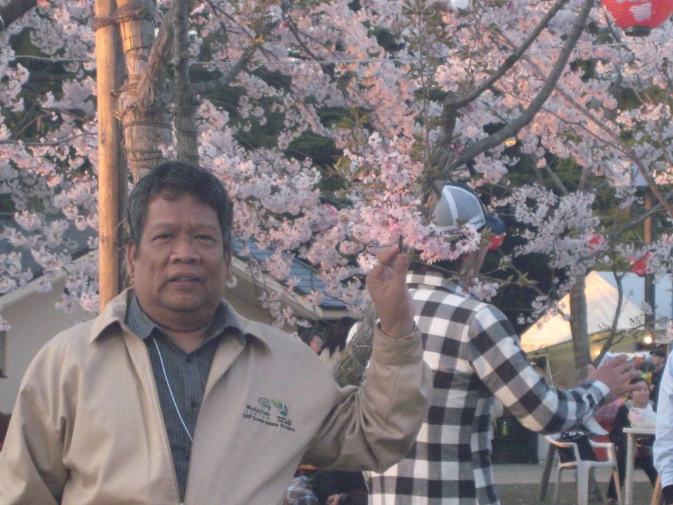 Cherry Blossoms: Sendai, Japan – 2010
